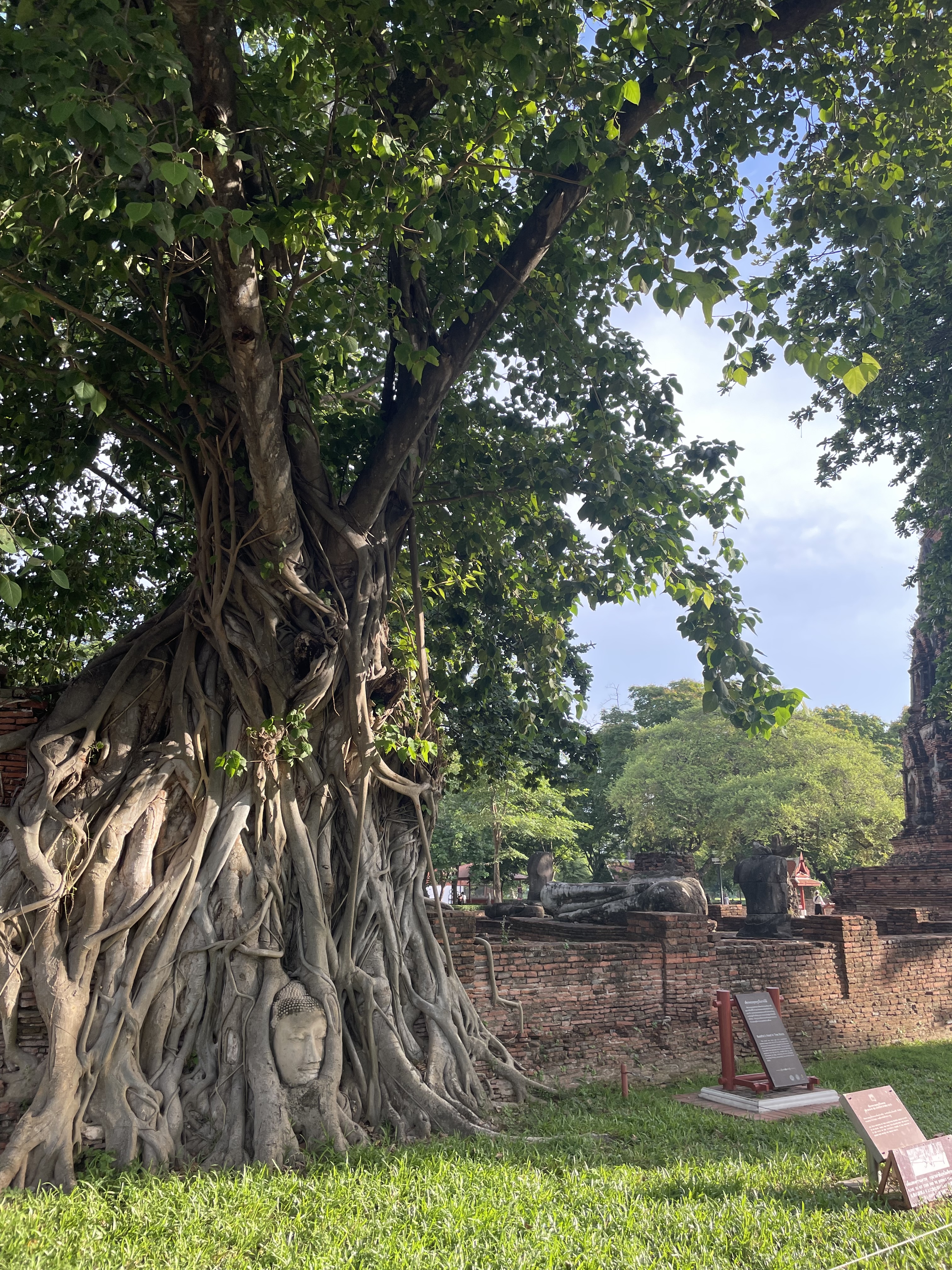 Where faith and nature intertwine