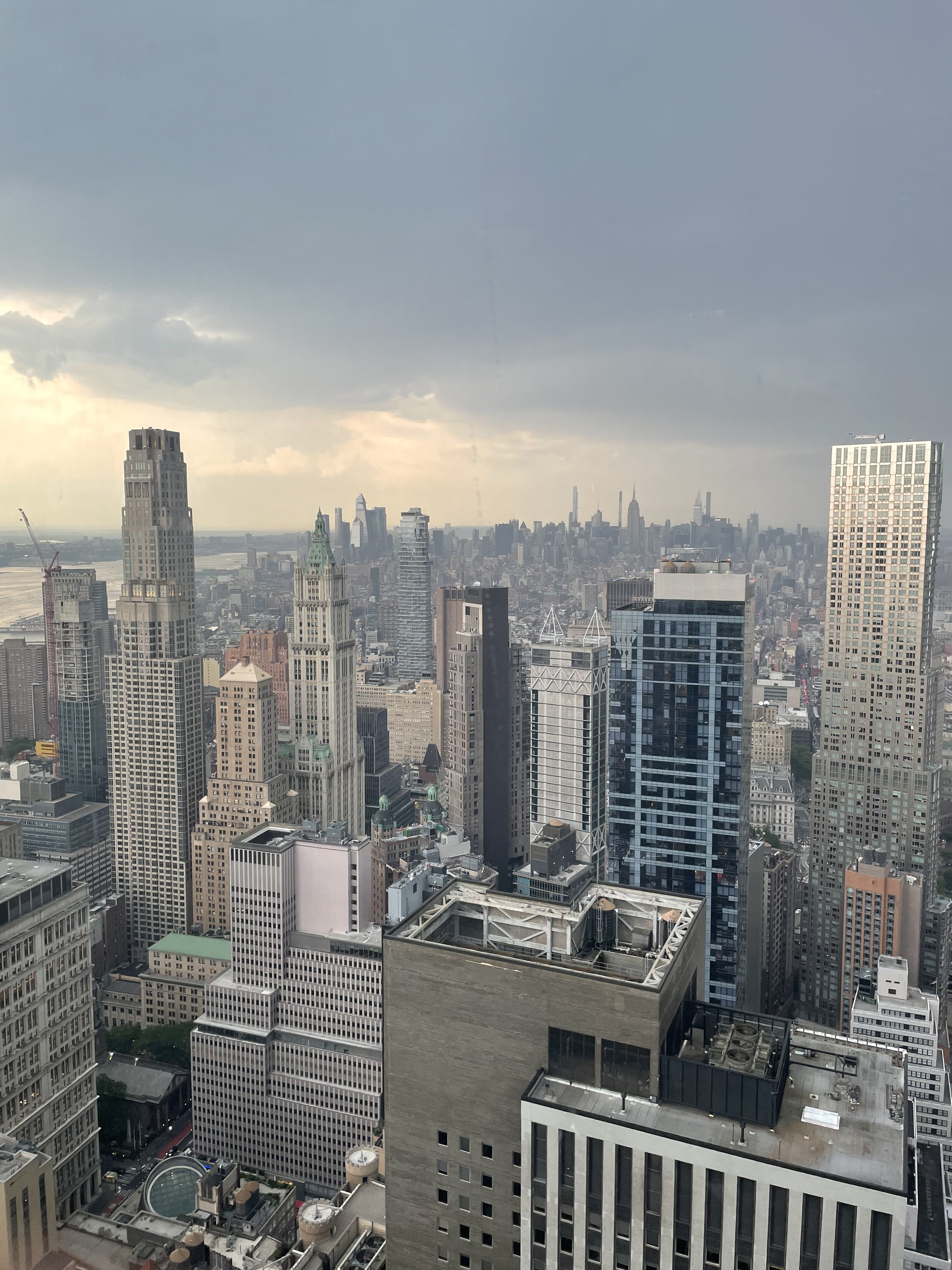Concrete jungle